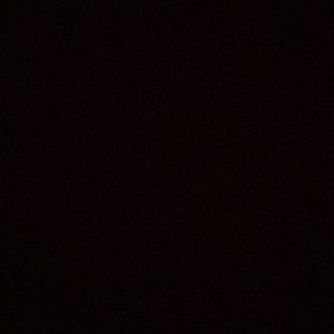 Meet your Posher, Martha